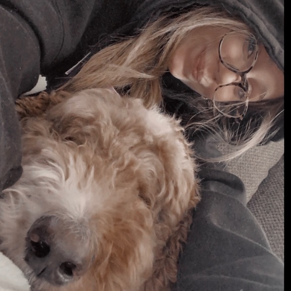 Meet your Posher, Riley - Picture 1 of 1